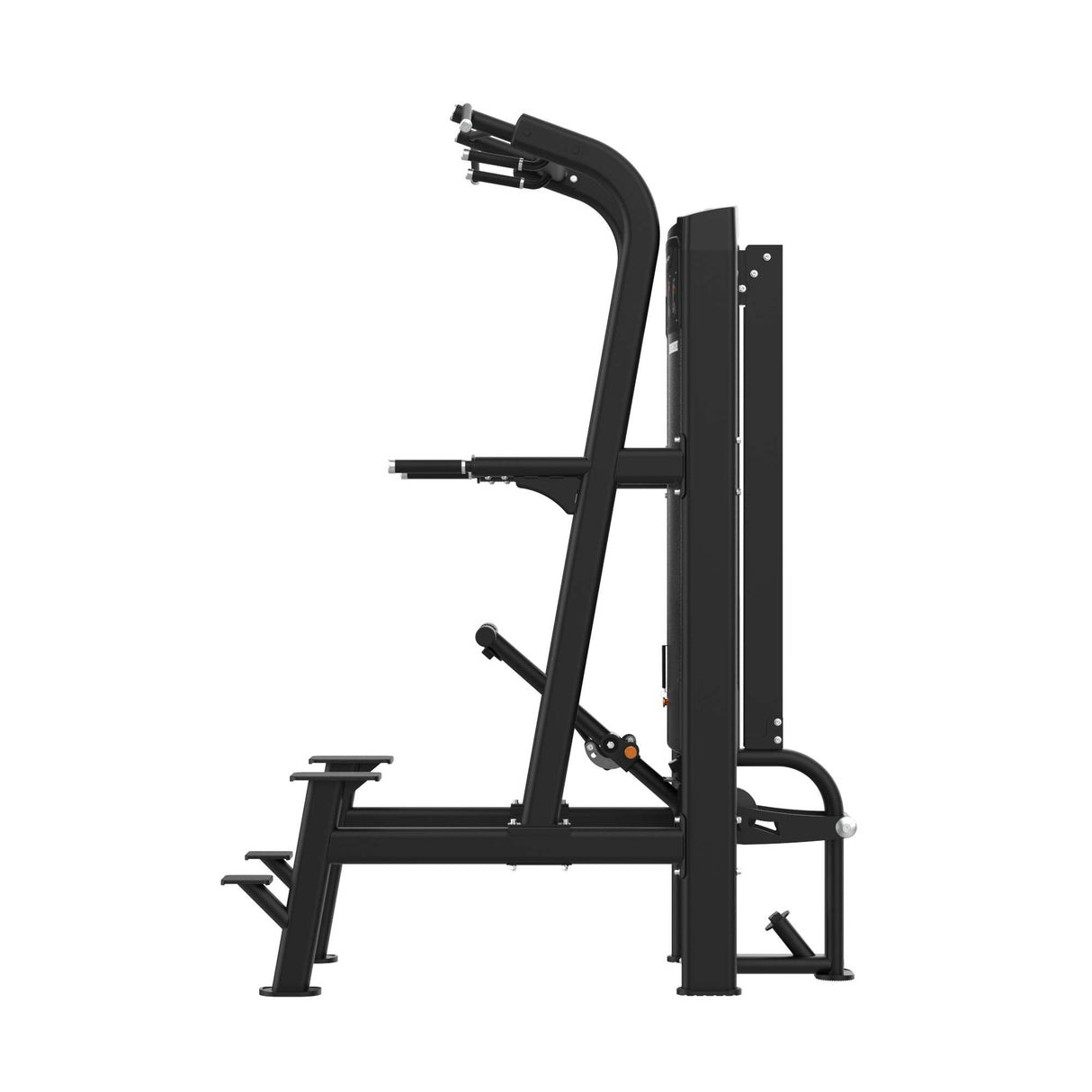 Assisted Chin & Dip IRONSIDE Luxe