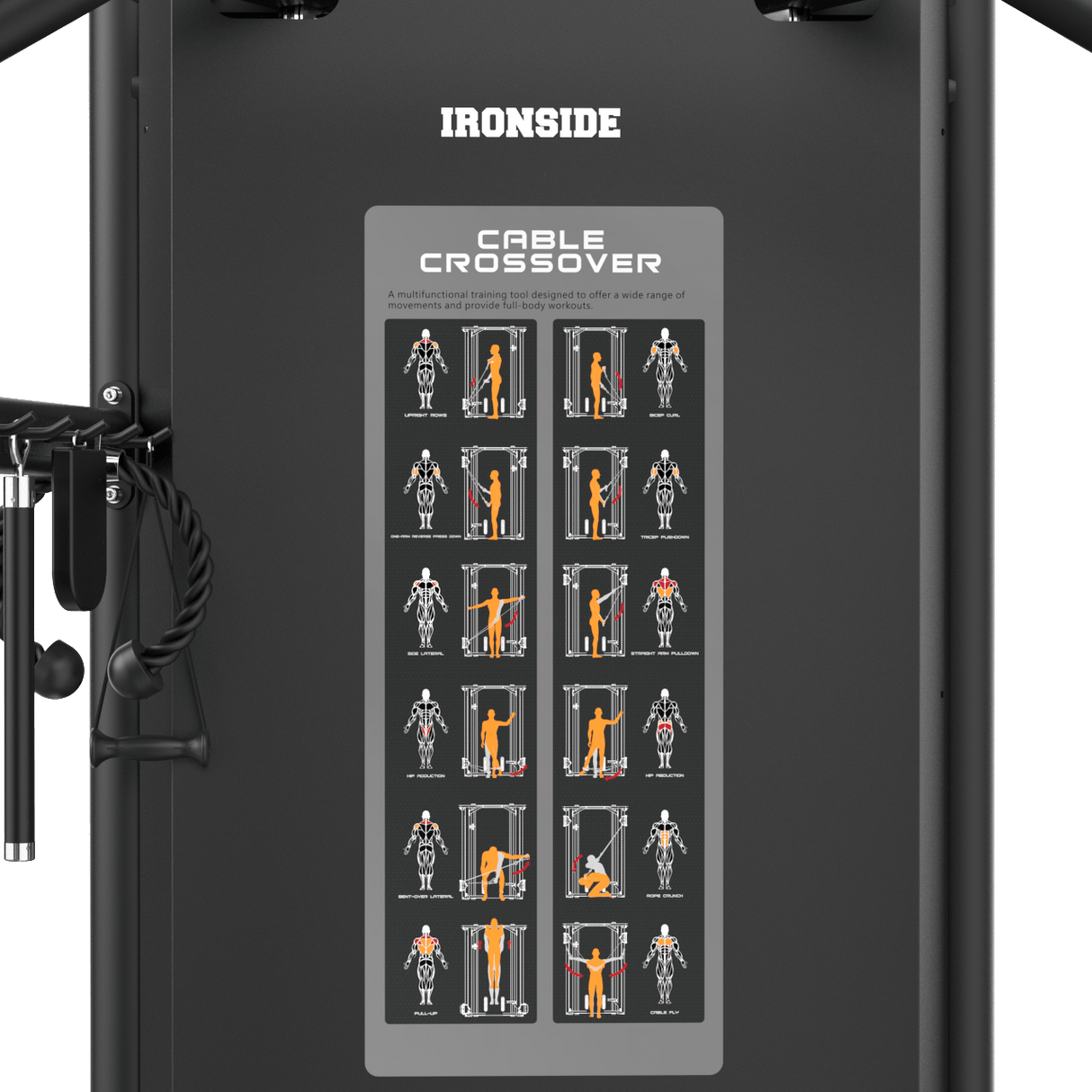 Polea Doble Ajustable IRONSIDE Elite