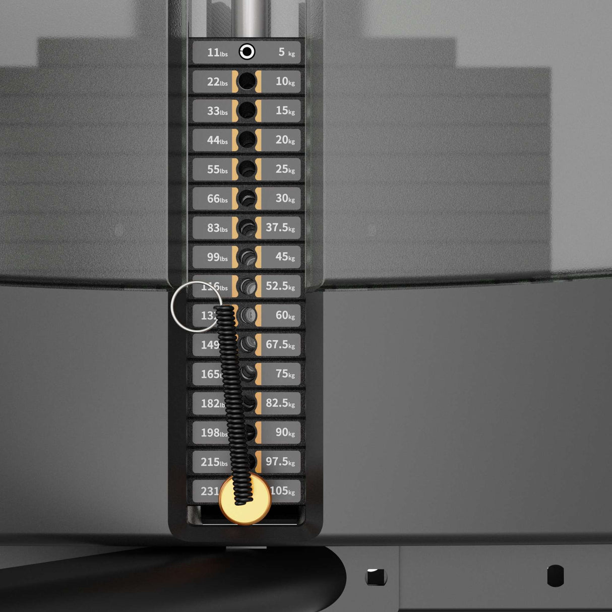 Dual Lat Pulldown IRONSIDE Luxe