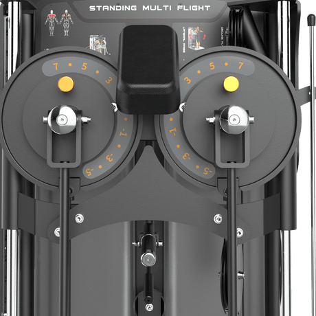 Standing Multi Flight Machine IRONSIDE Luxe