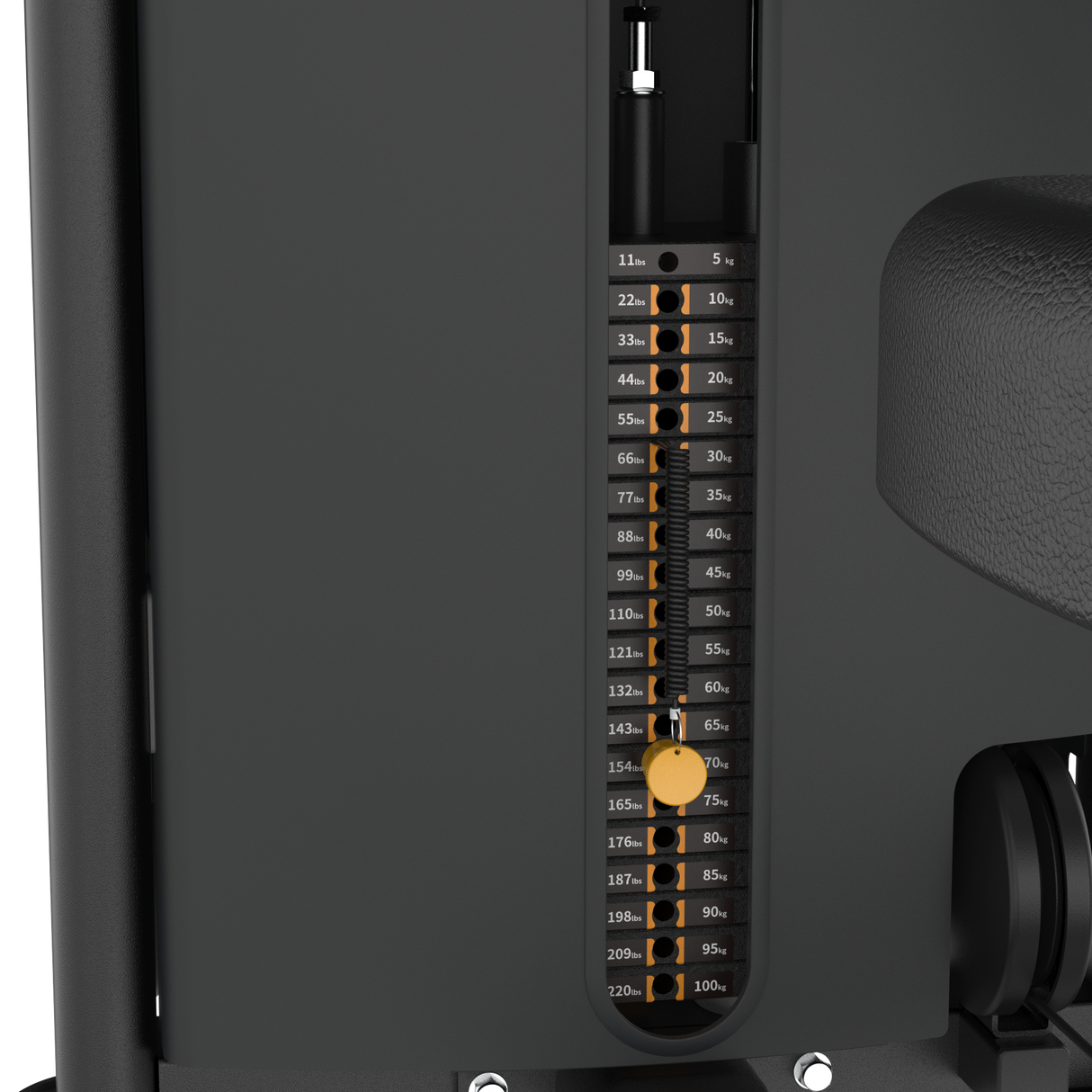 Dual Biceps & Triceps Machine IRONSIDE Elite