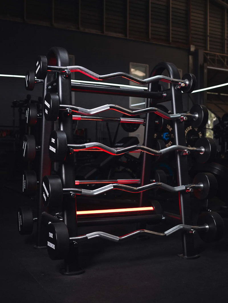 DISEÑÁ TU GIMNASIO EN 3D