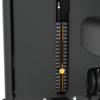 Dual Biceps & Triceps Machine IRONSIDE Elite