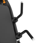 Dual Biceps & Triceps Machine IRONSIDE Elite